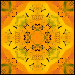 tableau mandala asia2