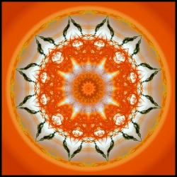 tableau mandala nahua