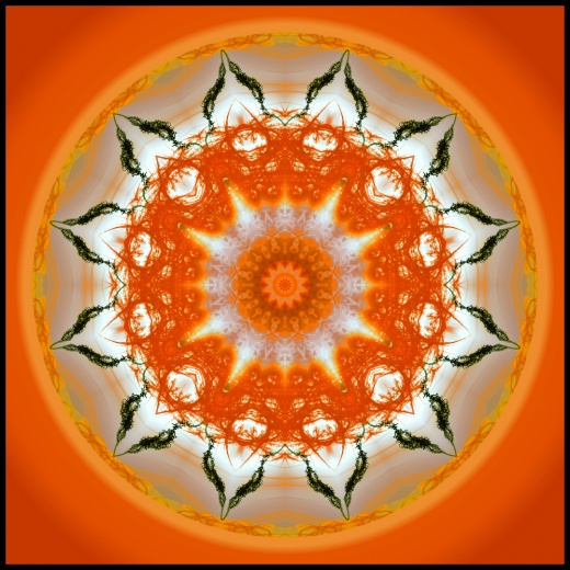 tableau mandala nahua